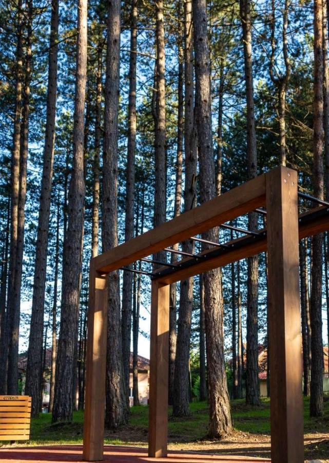Apartman Pavle Zlatibor Exteriér fotografie