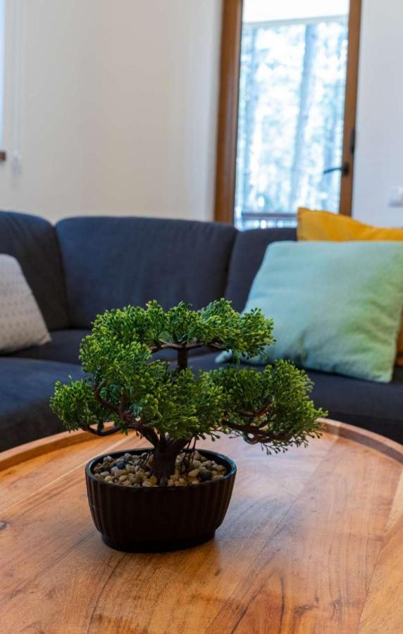 Apartman Pavle Zlatibor Exteriér fotografie