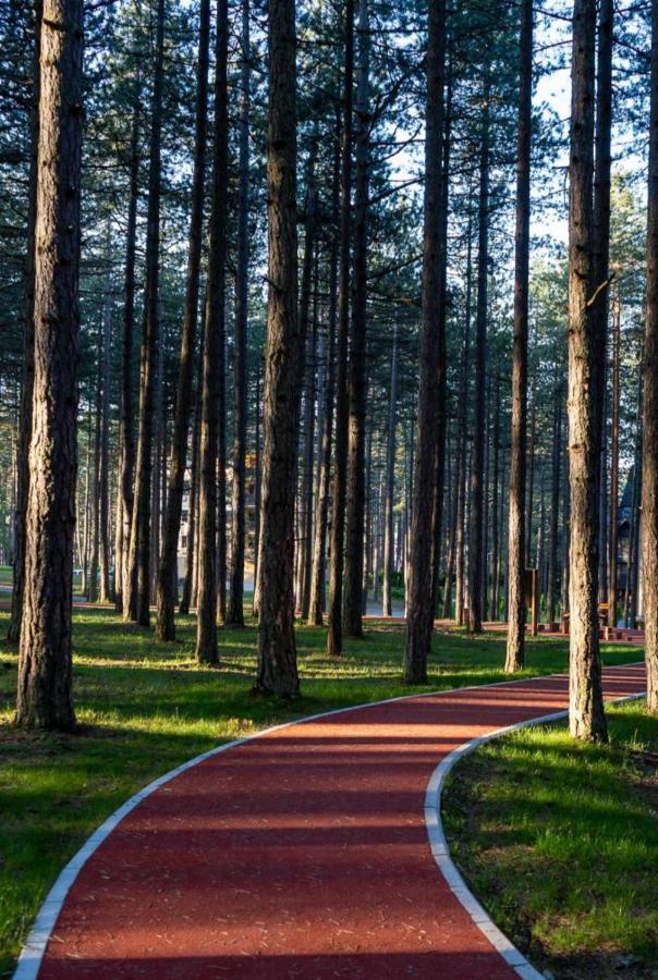 Apartman Pavle Zlatibor Exteriér fotografie