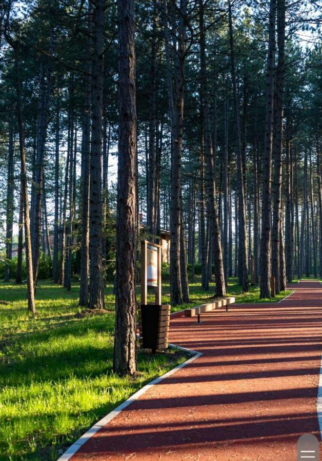 Apartman Pavle Zlatibor Exteriér fotografie