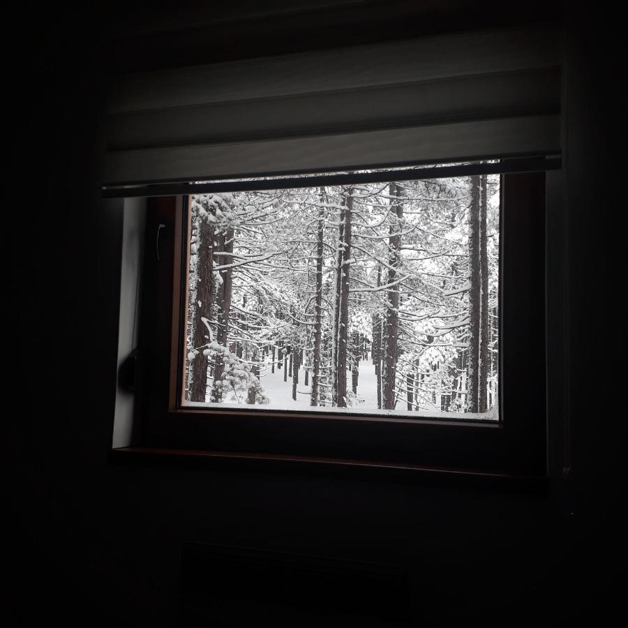 Apartman Pavle Zlatibor Exteriér fotografie